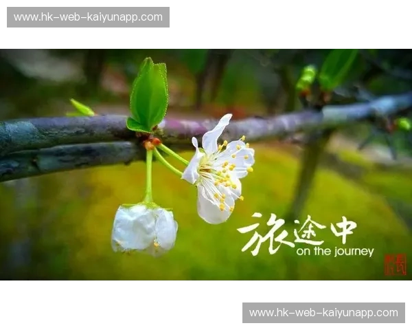 宿命的交锋：当“铿锵玫瑰”遇见“神秘劲旅”，这不只是一场绿茵博弈